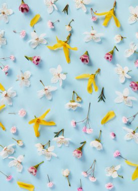 mavi arkaplanda bahar çiçekleri