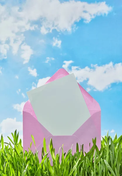 Pink envelope in grass with sky background