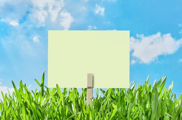 Blank placard in the grass