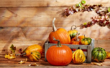 Ahşap arka planda balkabakları ve yapraklar