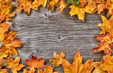 Ahşap zeminde sonbahar yaprakları, yukarıdan manzara