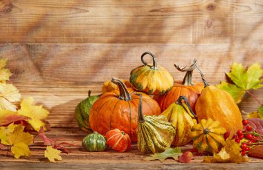 Ahşap arka planda balkabakları ve yapraklar