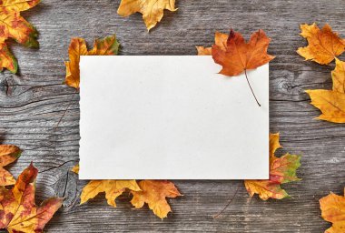 Ahşap zeminde boş kağıt ve sonbahar yaprakları, yukarıdan manzara