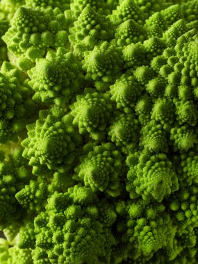 Romanesco broccoli background