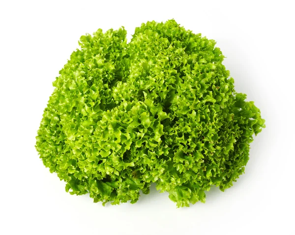 Grünkohlsalat isoliert auf weiß — Stockfoto
