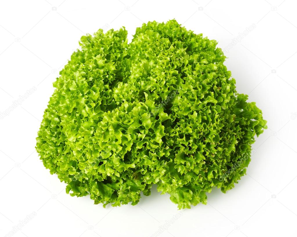 Kale salad isolated on white