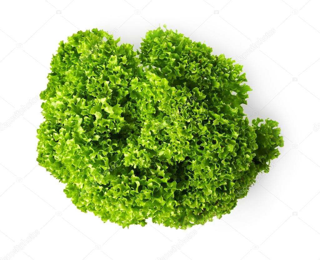 Kale salad on white