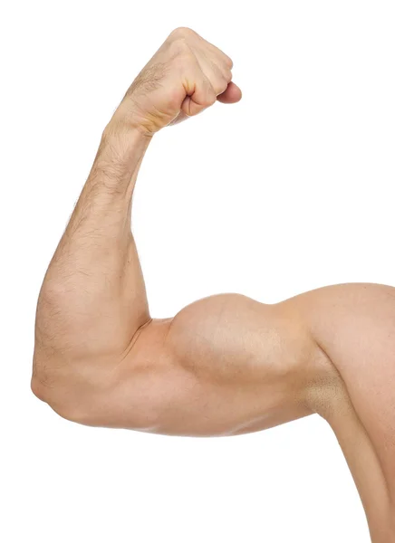 Biceps on white — Stock Photo, Image