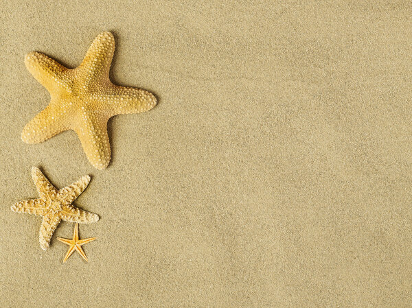 Starfishes on sand