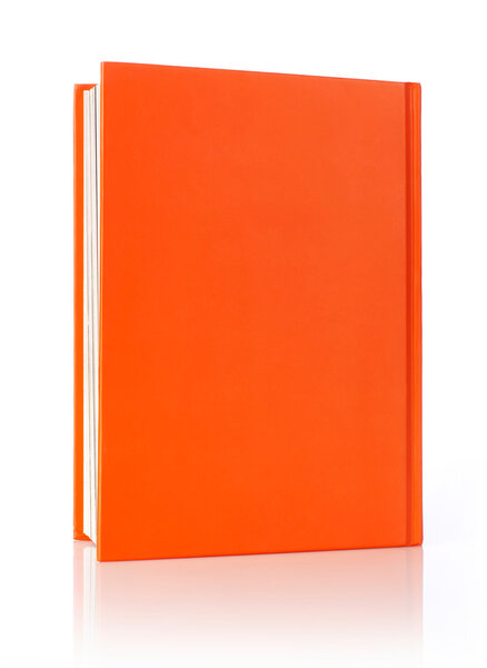 Обложка книги на белом фоне
