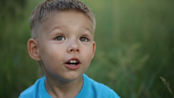 Förvånad liten pojke — Stockvideo