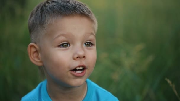 Surprised little boy — Stock Video