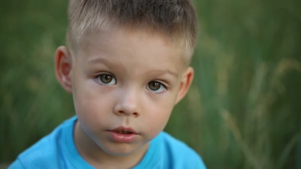 Portrait of a boy on nature — Stock Video