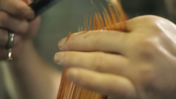 Hairdresser cuts a hair — Stock Video