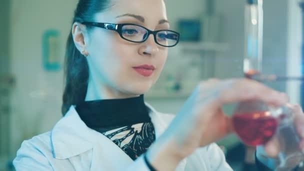 Donna che lavora in un laboratorio — Video Stock