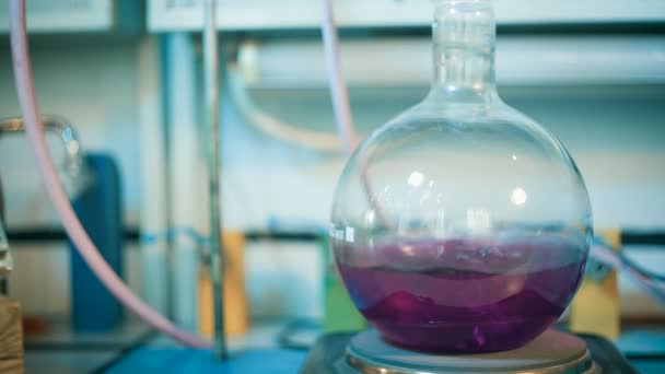 沸腾的液体在一个实验室中的长颈瓶 — 图库视频影像