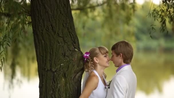 Šťastní novomanželé na přírodu — Stock video