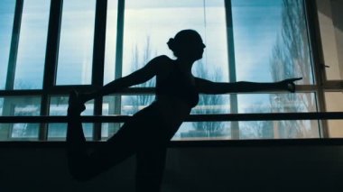 Yoga yapan bir kadının silüeti.