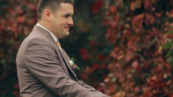 Wedding Couple On Nature — Stock Video