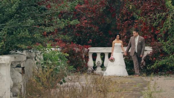 Bröllopsparet går på natur — Stockvideo