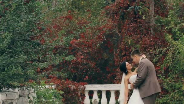 Casamento casal na natureza — Vídeo de Stock