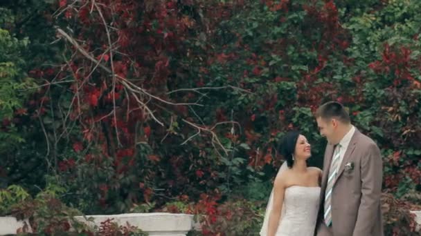 Свадебная пара на природе — стоковое видео