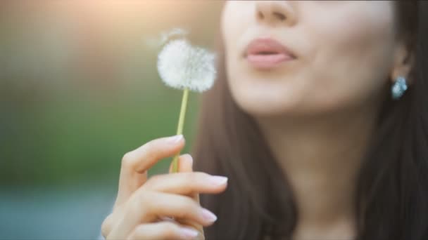 Jonge vrouw klap op een paardebloem — Stockvideo