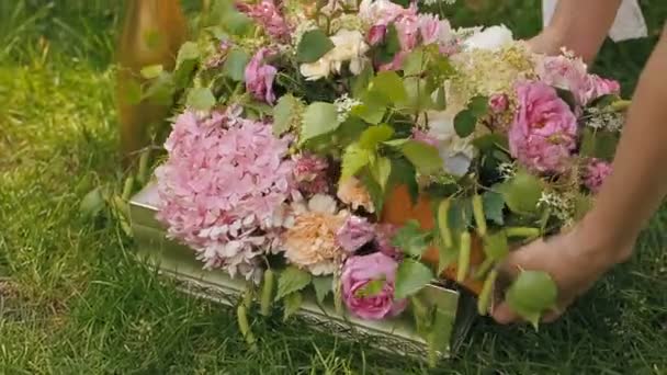 Bloemen in een vakken voor decor — Stockvideo