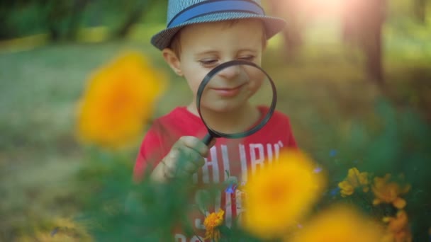 Boy exploring flowers with a magnifying glass — Stock Video