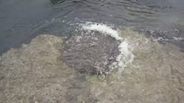 Sewer clogged after heavy rains — Stock Video