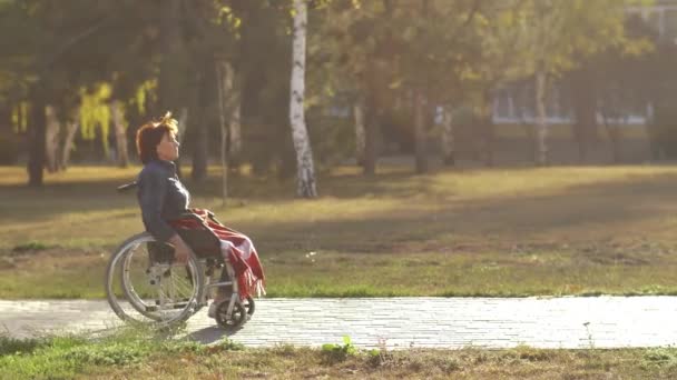 坐在轮椅上的女人在公园里骑马 — 图库视频影像