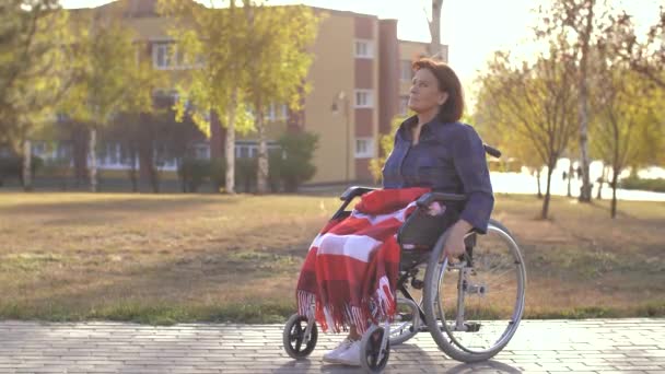 女人坐在公园的轮椅上 — 图库视频影像