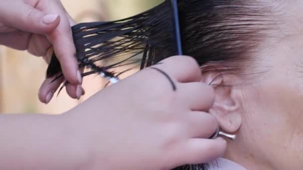 Парикмахер стрижет волосы зрелой женщины — стоковое видео