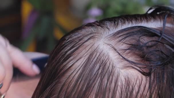 Coiffeur peignage tête chauve d'une femme âgée — Video