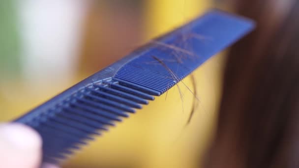 Hair on comb, hair loss problem concept — Stock Video