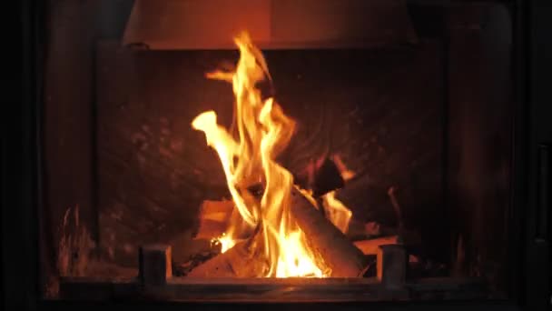 Κάψιμο ξύλου στο τζάκι — Αρχείο Βίντεο