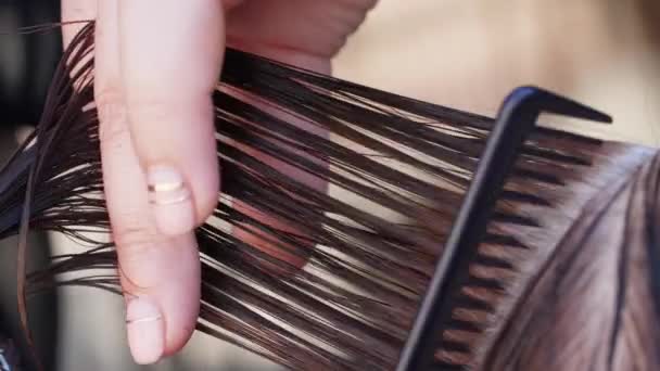 Kapster knipt het haar van een vrouw — Stockvideo