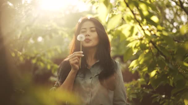 Asian woman blow on dandelion at the sunset — Stock Video