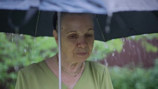 Triste anciana bajo paraguas bajo la lluvia — Vídeos de Stock