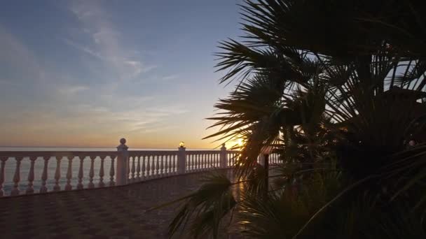 해 가질 때 바다 가까이에 있는 계단식논 — 비디오