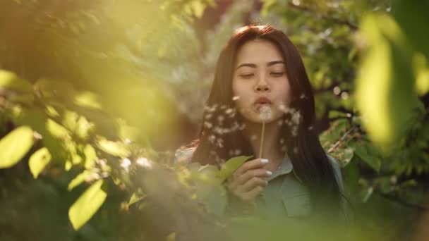 Young woman blow on dandelion at the sunset — Stock Video