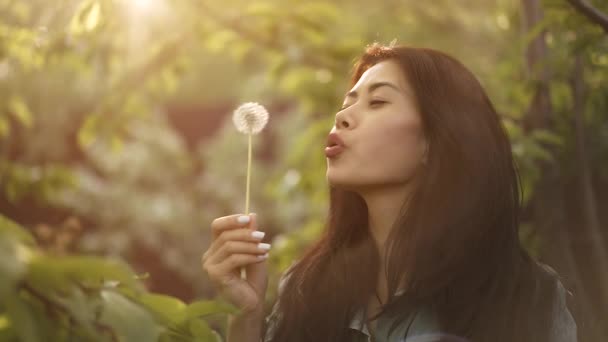 Woman blow on dandelion at garden — Stockvideo