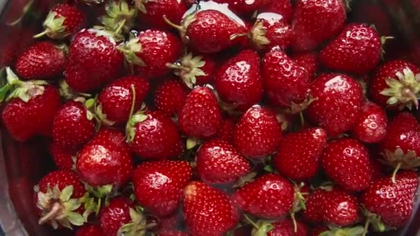 Ώριμες φράουλες σε ένα μπολ — Αρχείο Βίντεο
