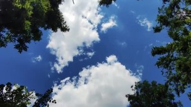 Bulutlar ve ağaçlar mavi gökyüzüne karşı