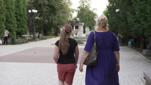 뚱뚱 한 어머니와 딸 이 공원을 걷고 있다 — 비디오