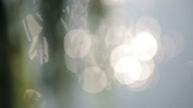 Göl üzerinde parlayan ışık