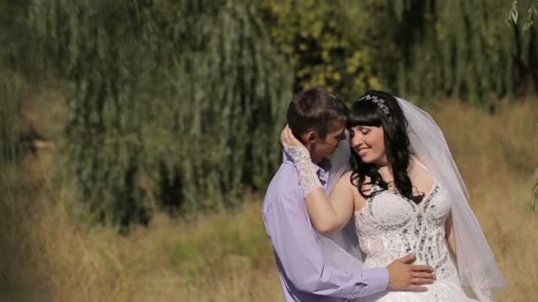 Casamento casal na natureza — Vídeo de Stock