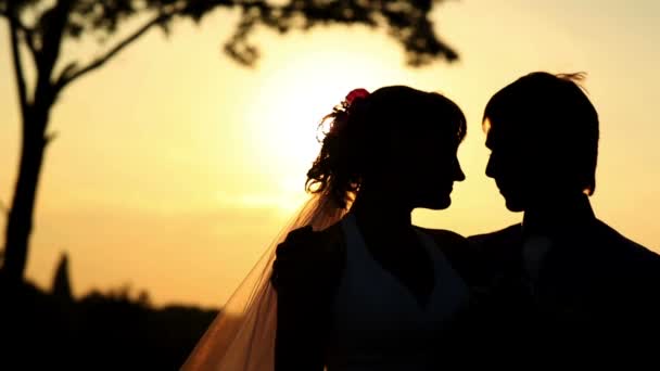 Bruid en bruidegom bij zonsondergang — Stockvideo