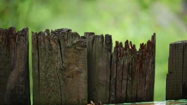 Haut de la page Clôture brisée sous la pluie — Video