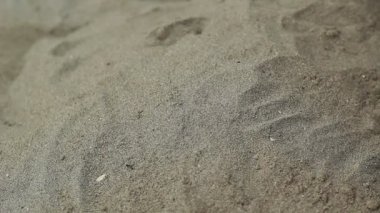 Kum ile gömülü el